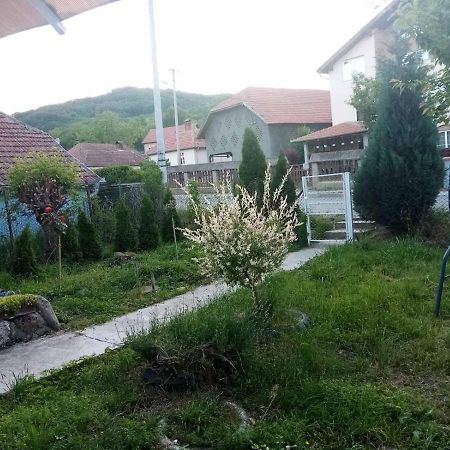 Apartmani Lina Ribarska Banja Kültér fotó
