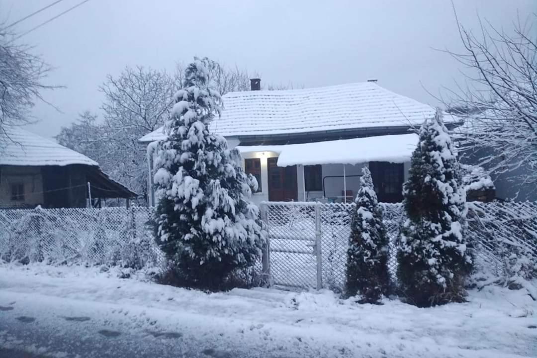 Apartmani Lina Ribarska Banja Kültér fotó